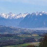 Swiss